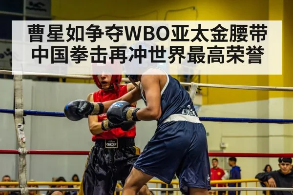曹星如争夺WBO亚太金腰带 中国拳击再冲世界最高荣誉