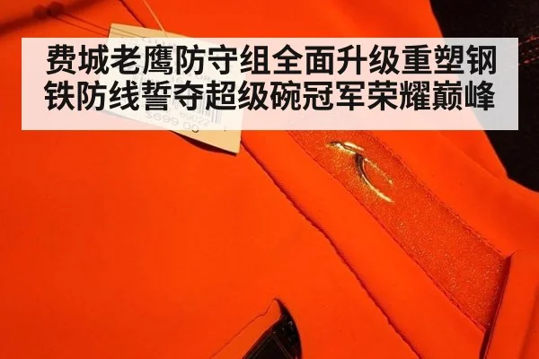 费城老鹰防守组全面升级重塑钢铁防线誓夺超级碗冠军荣耀巅峰