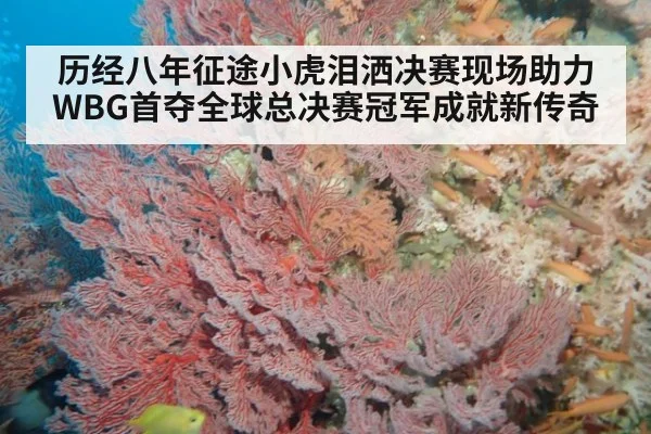 历经八年征途小虎泪洒决赛现场助力WBG首夺全球总决赛冠军成就新传奇